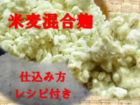 米麦混合麴手作り味噌用塩入り(大豆なし)