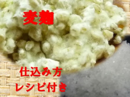 麦麹手作り味噌用塩入り(大豆なし)